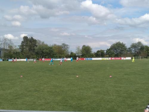 6638a9988febb246429424